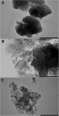 Zeolites as Carriers of Antitumor Ribonuclease Binase